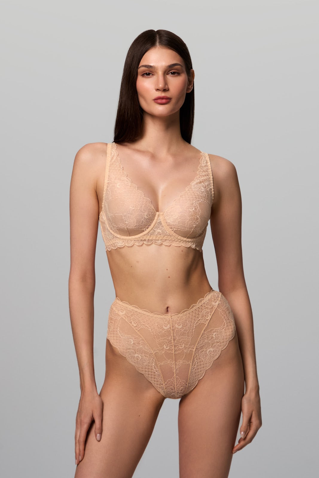 Guilty Pleasure Nude— High-Waist Lace Briefs